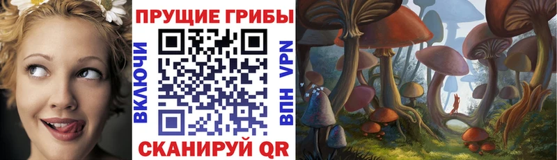 Псилоцибиновые грибы MAGIC MUSHROOMS  Алексеевка 